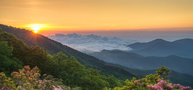 smoky mountain view
